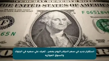 استقرار جديد في سعر الدولار اليوم بمصر.. تعرف على سعره في البنوك والسوق الموازية